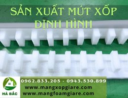 xốp pe foam định hình