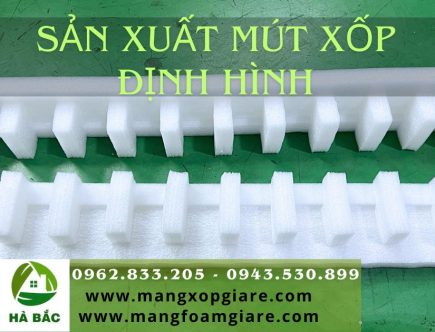 xốp pe foam định hình