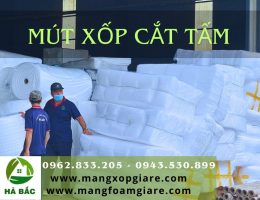 tấm mút xốp pe foam