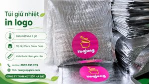 Túi Xốp Bạc Giữ Nhiệt In Logo