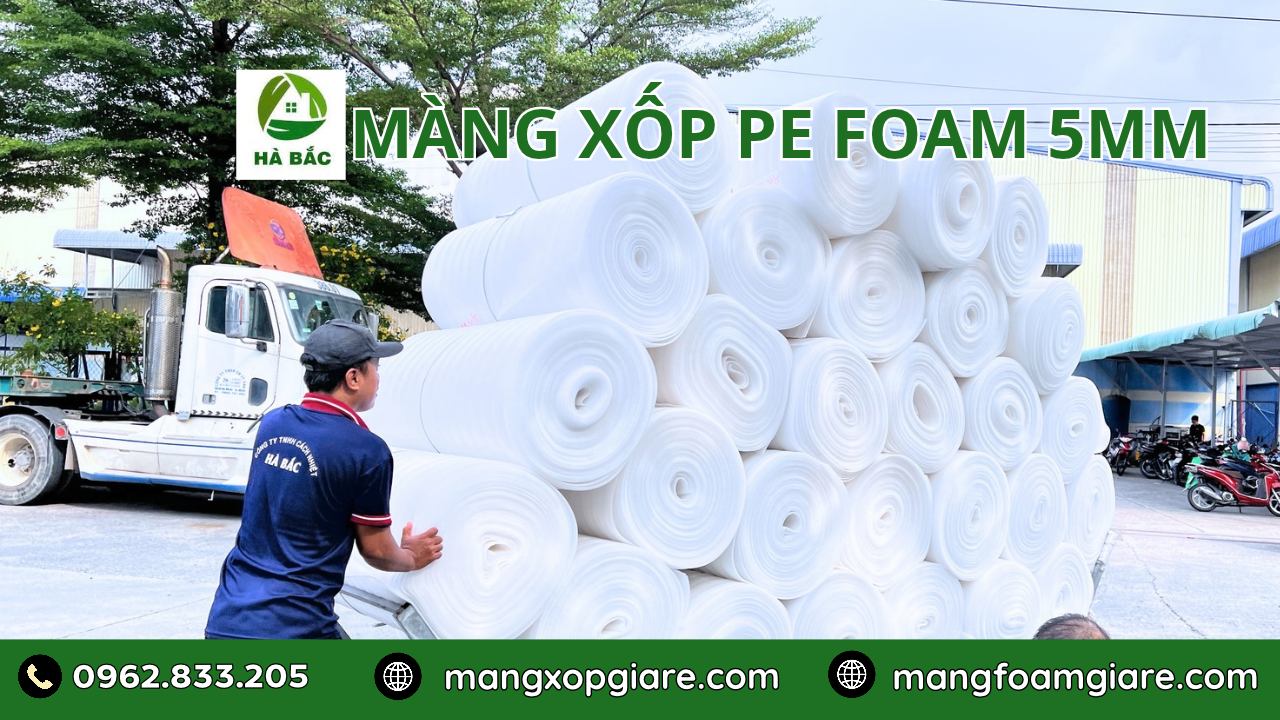Mút xốp PE foam 5mm