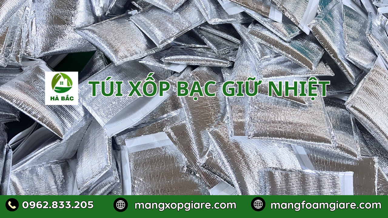 Túi Xốp Bạc Giữ Nhiệt Thực Phẩm