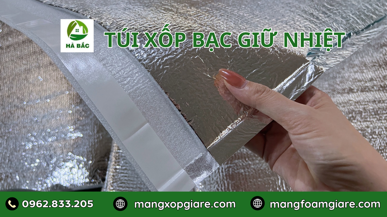 Túi Xốp Bạc Giữ Nhiệt Thực Phẩm