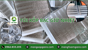 Túi Xốp Bạc Giữ Nhiệt